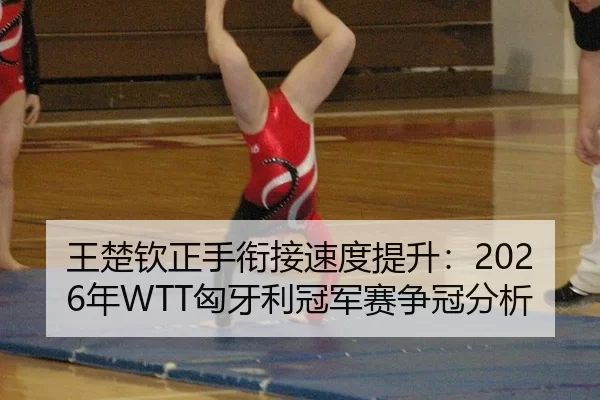 王楚钦正手衔接速度提升：2026年WTT匈牙利冠军赛争冠分析